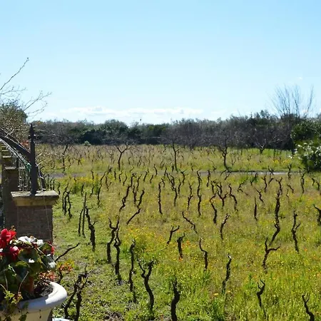 Antico Casale Merlot - Beds *