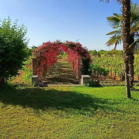 Antico Casale Merlot - Beds Villa Mascalucia