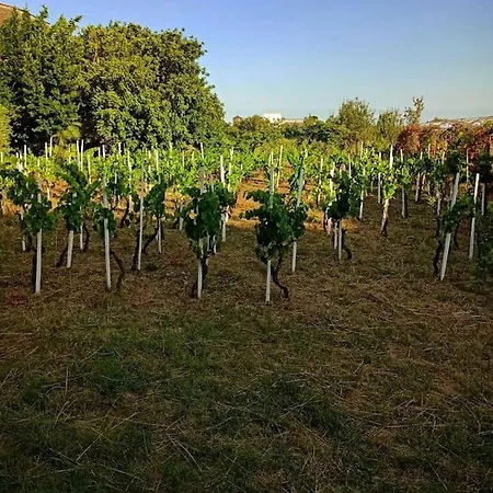 Antico Casale Merlot - Beds * Mascalucia